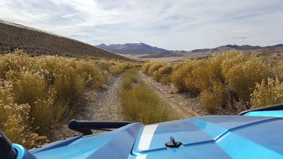 Touring an endless landscape