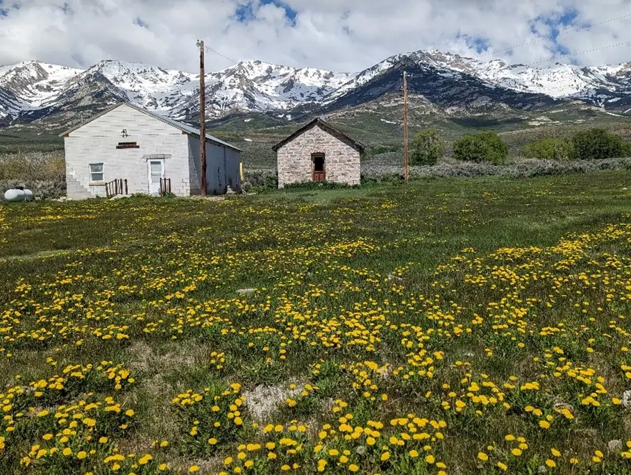 Bressman Cabin at Ruby Lake