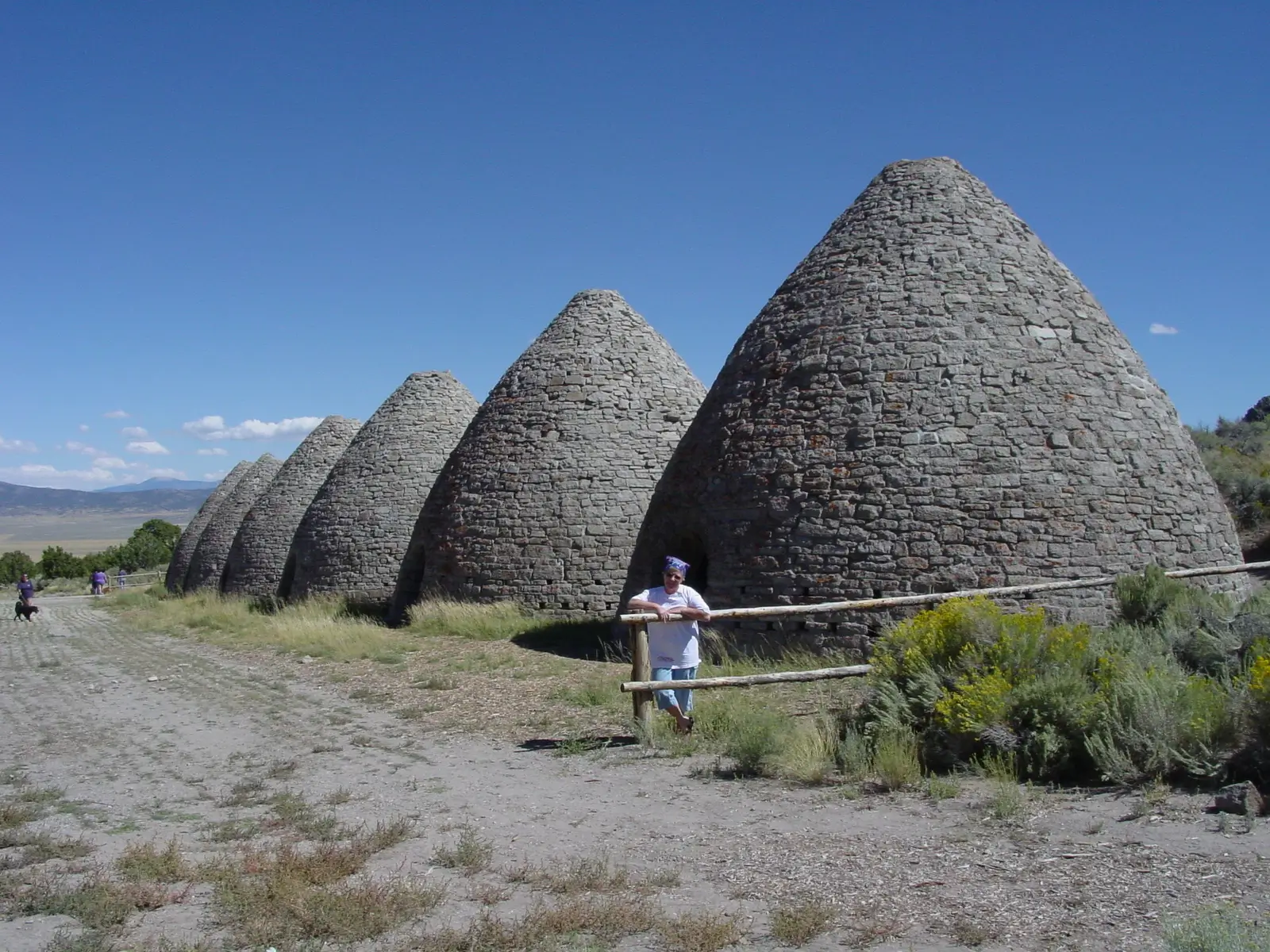 The incredible Ward Charcoal Ovens in Ely