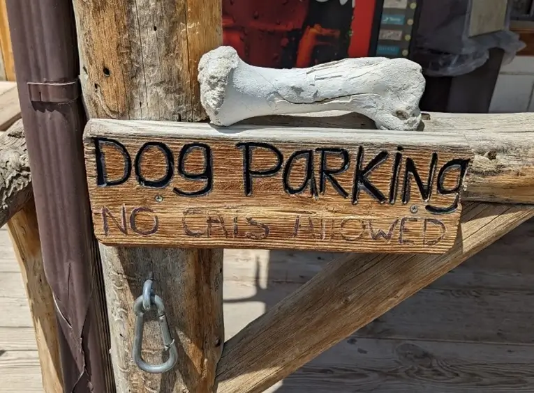 Yep, we’re in Nevada!